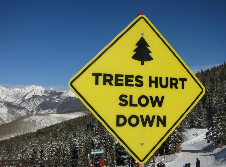 377 Ski Vail GondolaOne TreesHurtSlowDown