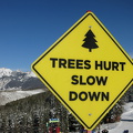 377 Ski Vail GondolaOne TreesHurtSlowDown