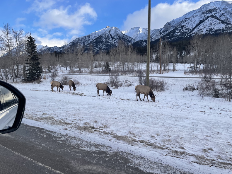 425E2E08-611D-4D4D-A9A0-E091A1FB8F92