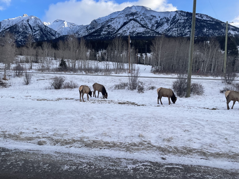 21E360A8-9DB3-4315-87A1-87186CED2C6C