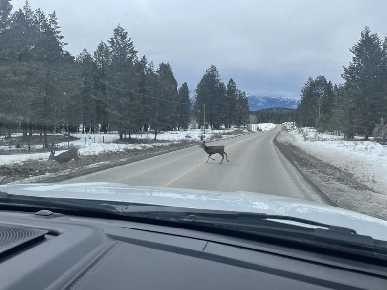 ACE66A22-7577-4437-9C4E-D81CA96D3A25