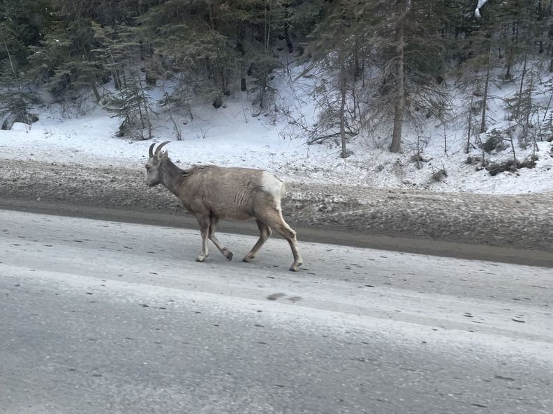 07D347BA-BB92-41A3-AB08-33CA6F2FB0CA