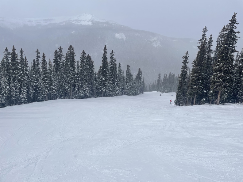 F4A35310-4245-4445-8497-4D5E01F2AEB5